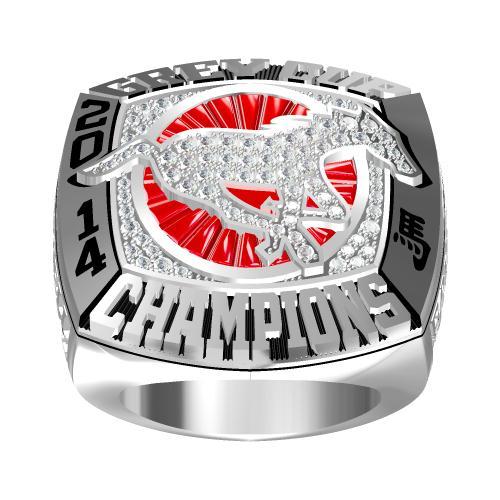 Calgary Stampeders 2014 CFL 102nd Grey Cup Championship Ring