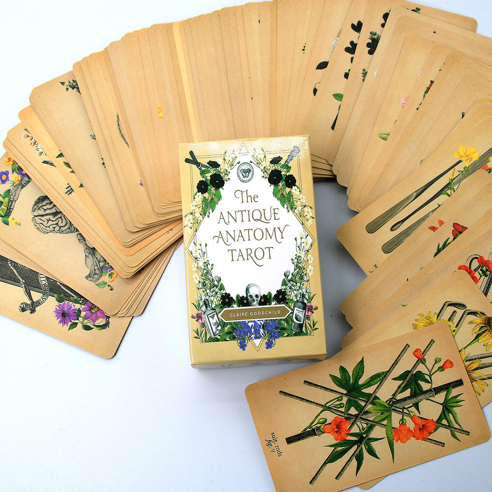 The Antique Anatomy Tarot Wholesale